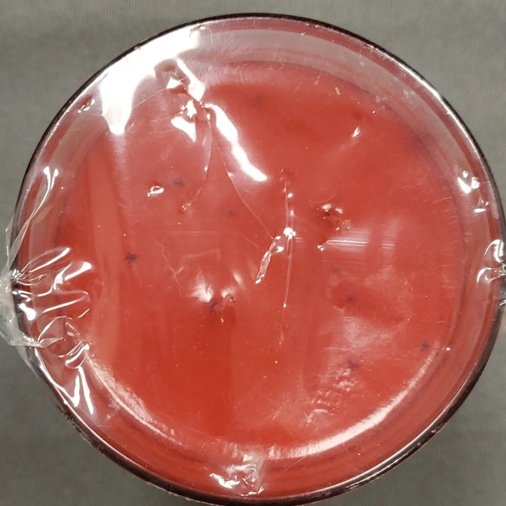 SLICED WATERMELON 10 oz two wick Gold‎ Canyon candle